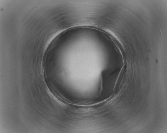 X0000074261468200609081724