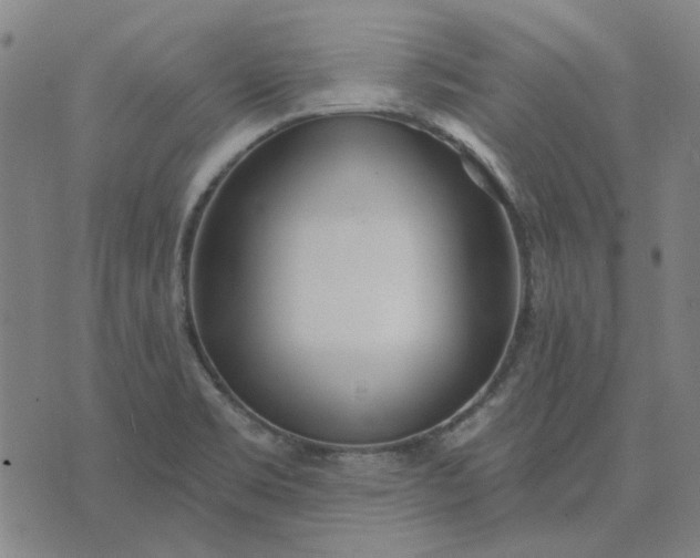 X0000074261469200609081724