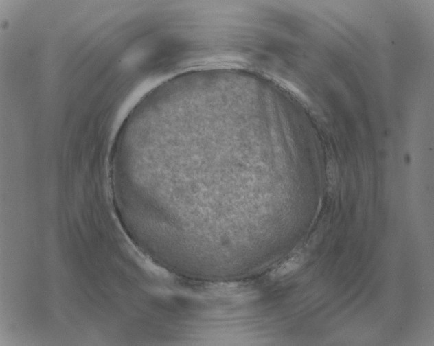 X0000074261470200609081724