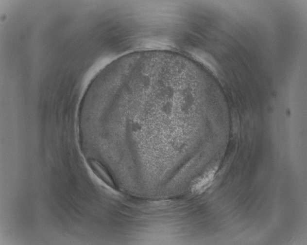 X0000074261471200609081724