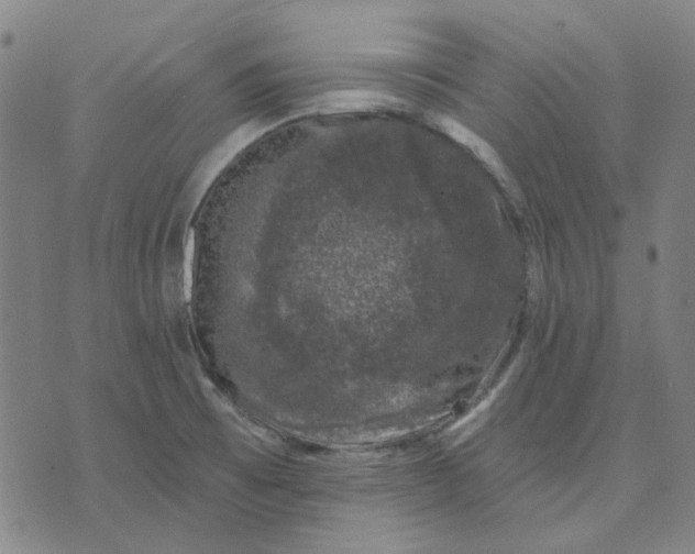 X0000074261473200609081724