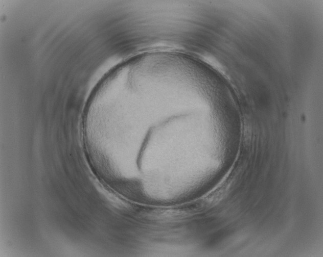 X0000074261474200609081724