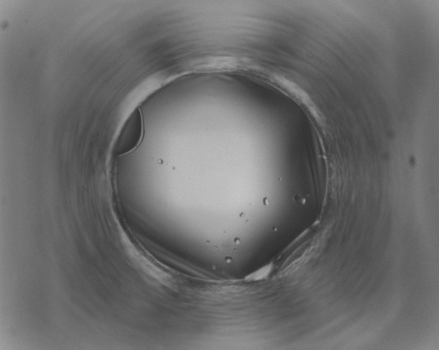 X0000074261475200609081724