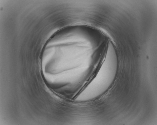 X0000074261476200609081724