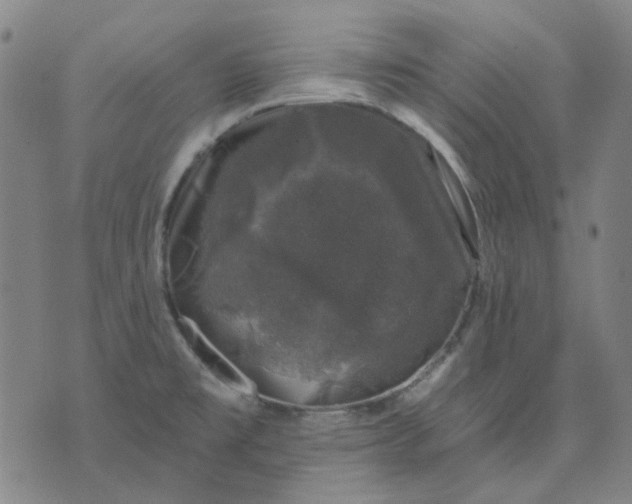 X0000074261477200609081724