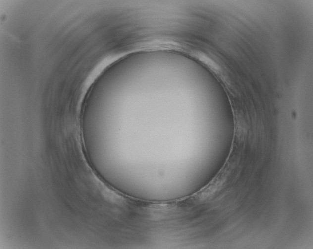 X0000074261478200609081724