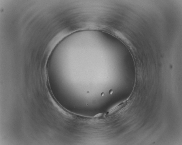 X0000074261479200609081724