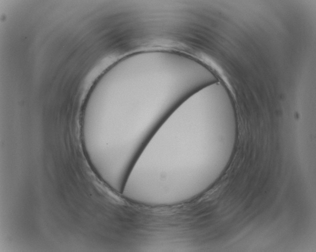 X0000074261480200609081724