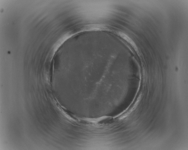 X0000074261481200609081724