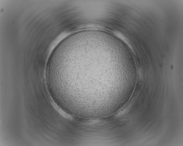 X0000074261482200609081724