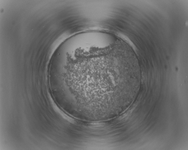 X0000074261483200609081724