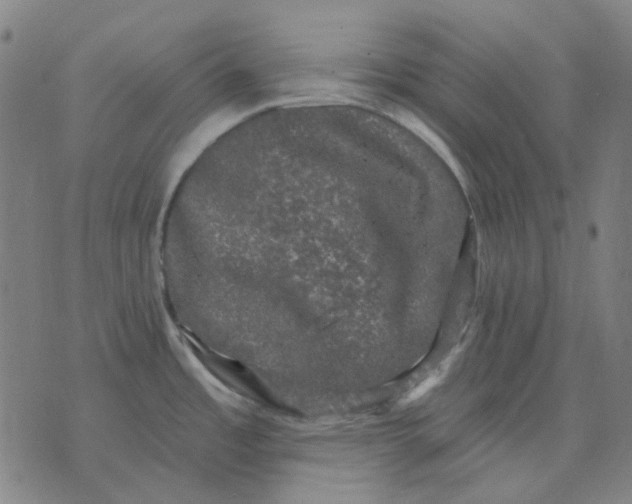 X0000074261485200609081724