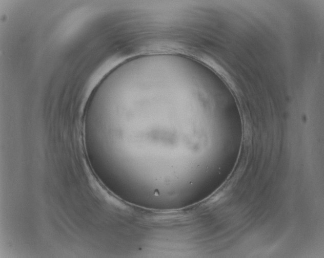 X0000074261486200609081724