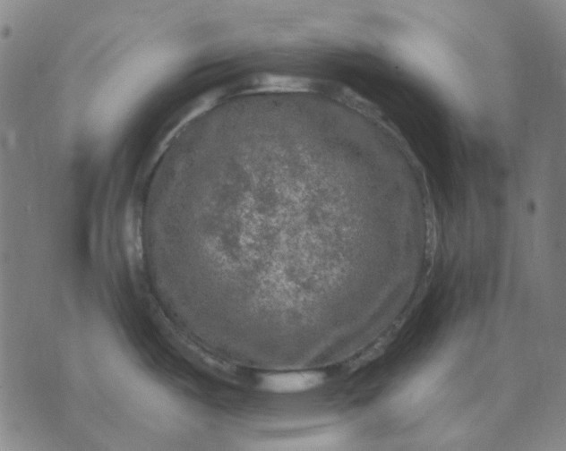 X0000074261487200609081724