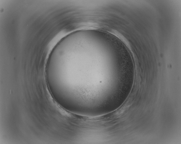 X0000074261488200609081723