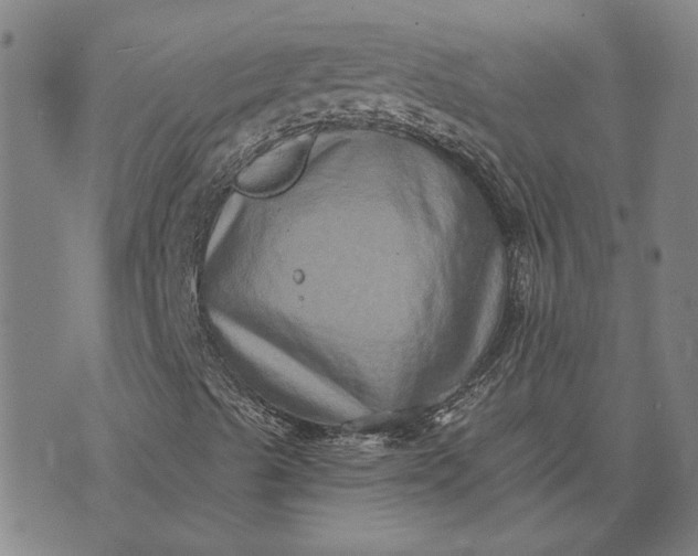 X0000074261489200609081723