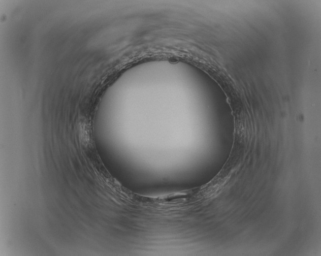 X0000074261490200609081723