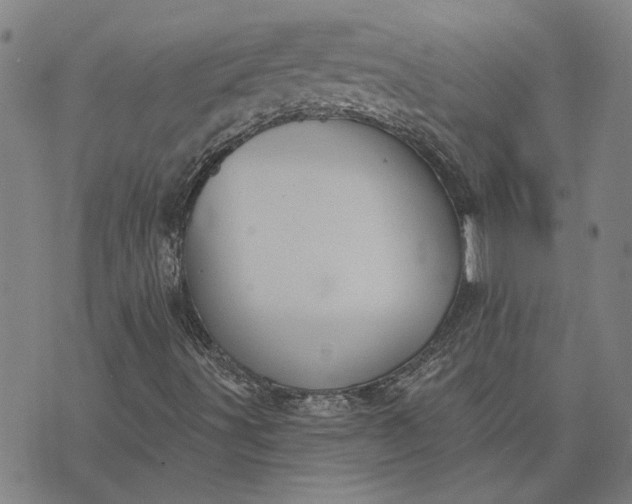 X0000074261491200609081723