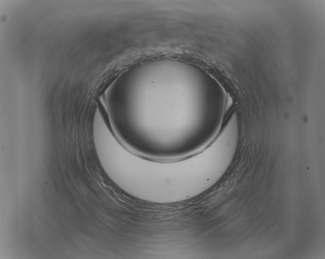 X0000074261492200609081723