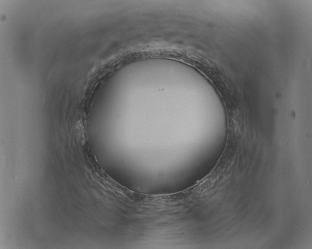 X0000074261493200609081723