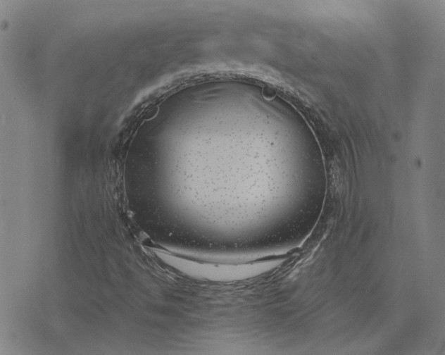 X0000074261494200609081723