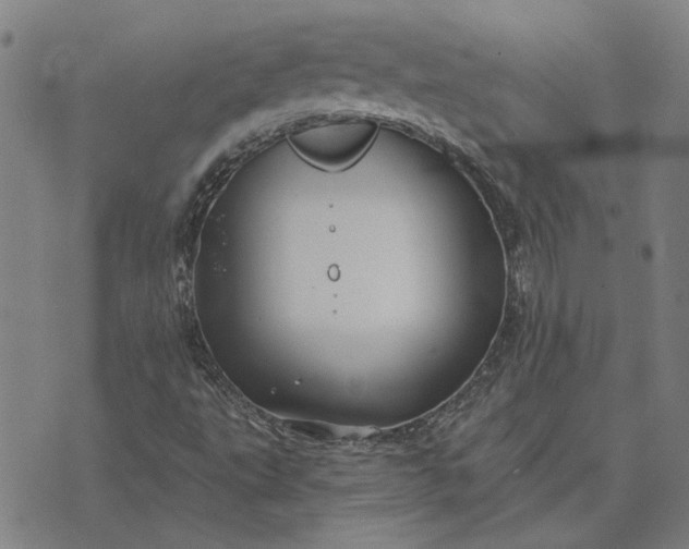 X0000074261495200609081723