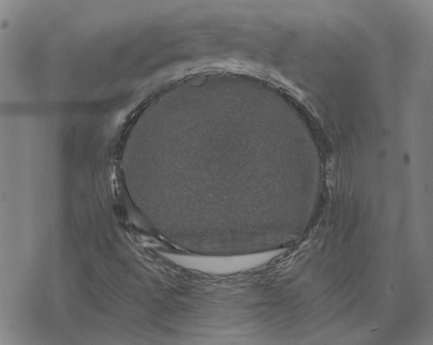 X0000074261496200609081723