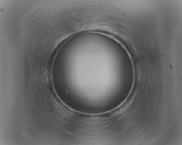 X0000074261497200609081723