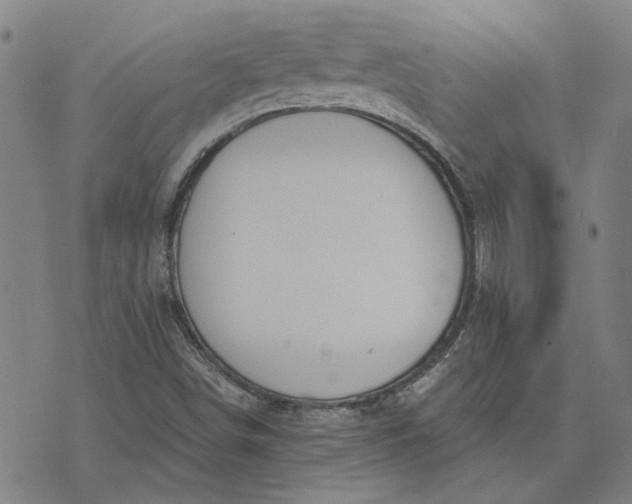 X0000074261498200609081723