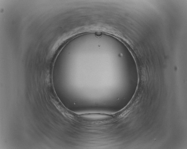 X0000074261499200609081723