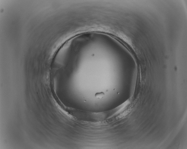 X0000074261500200609081723