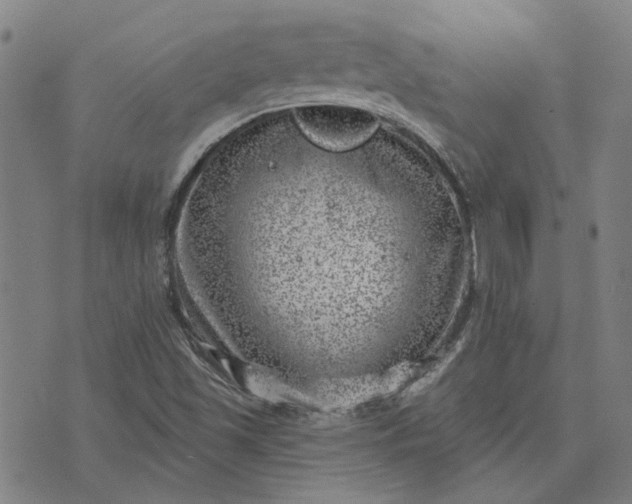 X0000074261501200609081723