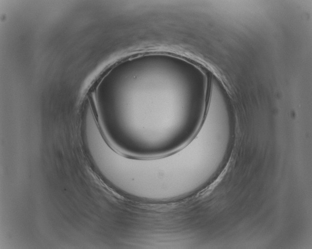 X0000074261502200609081723