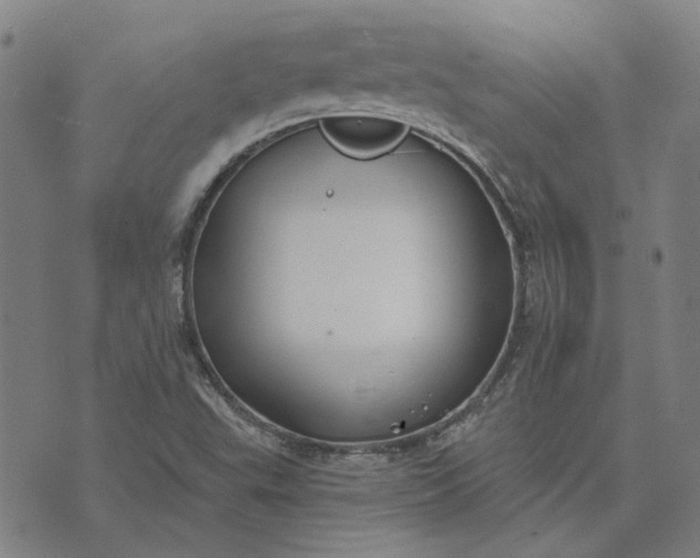 X0000074261503200609081723