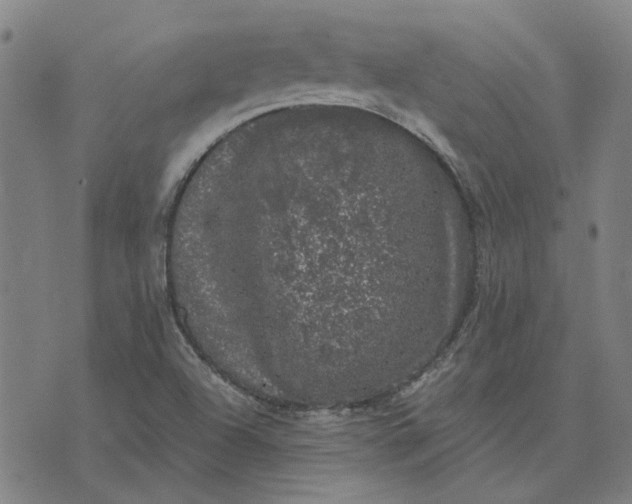 X0000074261504200609081723