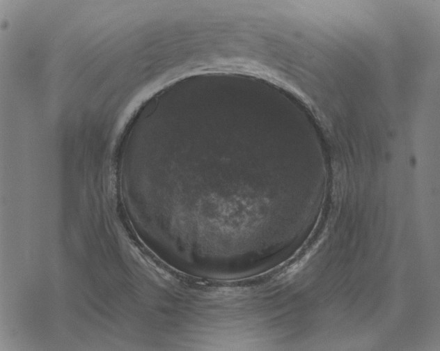 X0000074261506200609081723