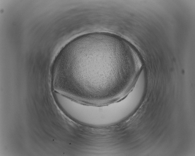 X0000074261508200609081723