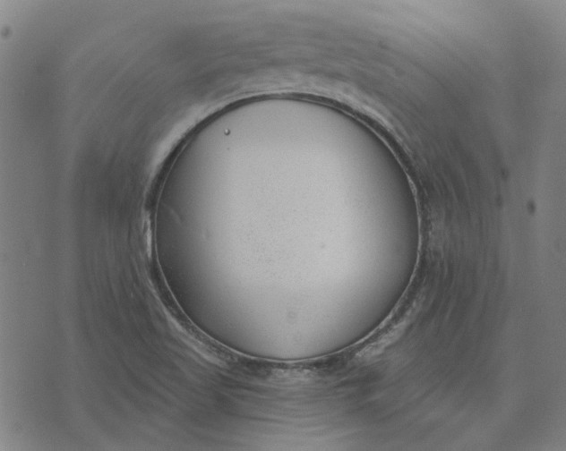 X0000074261509200609081723