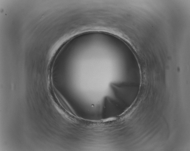 X0000074261511200609081723