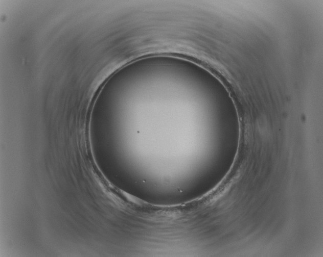 X0000074261513200609081723