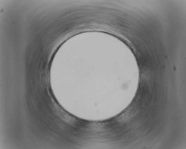 X0000074261514200609081723