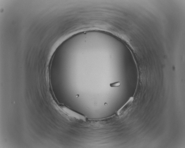 X0000074261516200609081723