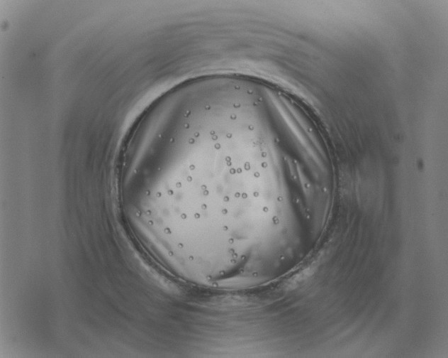 X0000074261517200609081723