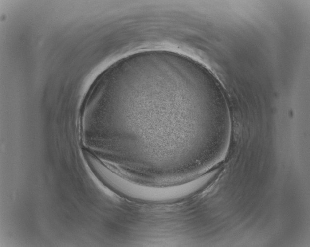 X0000074261519200609081723