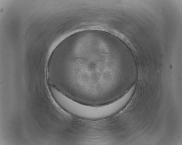 X0000074261520200609081723