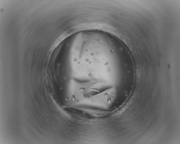 X0000074261521200609081723