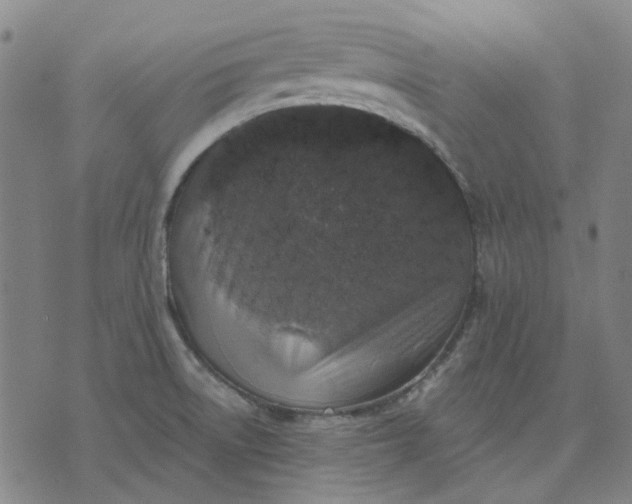 X0000074261522200609081723