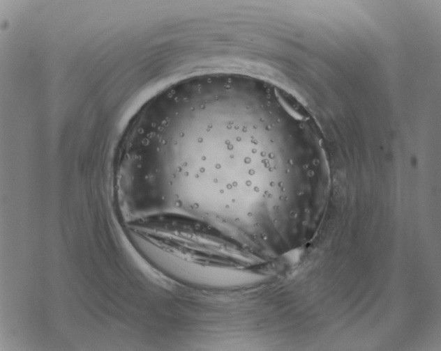 X0000074261523200609081723