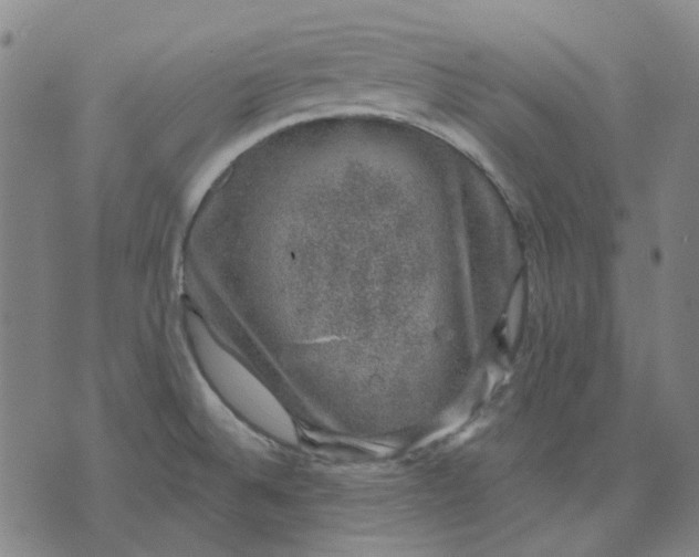 X0000074261524200609081723