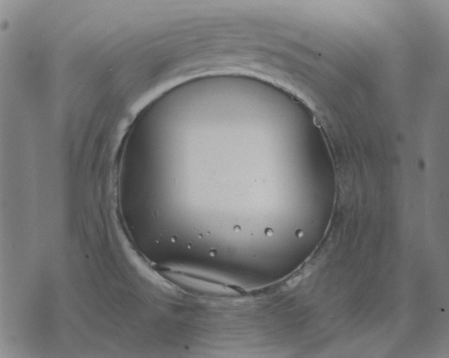 X0000074261526200609081723